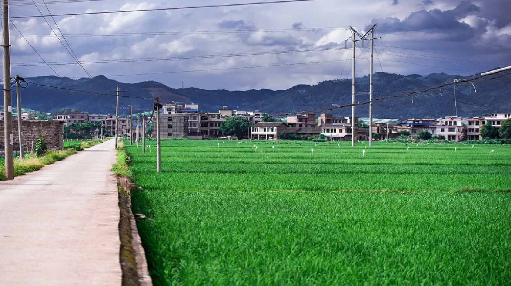 松原市内蒙古乡村沃畉农业服务购入…