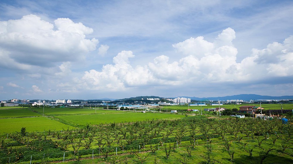 松原市山东省临沂沂南县农业局采购…